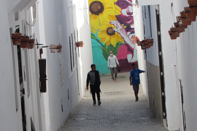 14-Day Private Morocco Street Art Tour - Itinerary Highlights