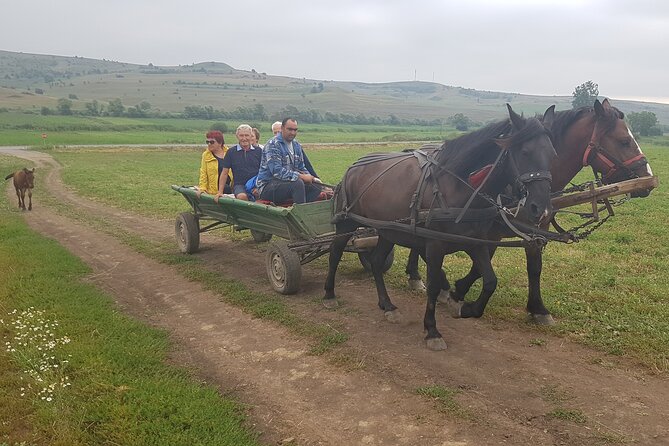 14 Days Private Tour in Romania, Moldova, Transnistria From Bucharest - Tour Overview