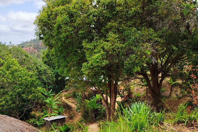 14 Days to Experience Authentic Village Life in Taita Hills - Itinerary Overview