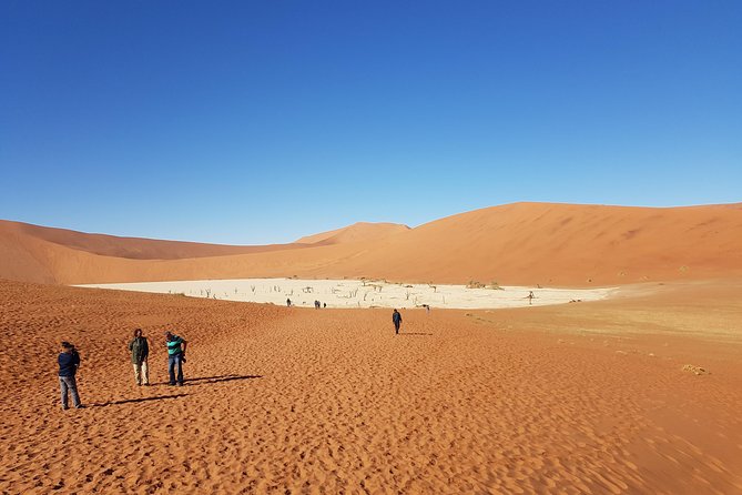 15 Days/ 14 Nights All About Namibia - Self-drive - Accommodation Details