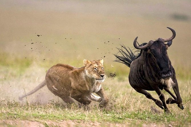 16 Days African Mountain Biking Cycling Safari Holiday Adventures - Safari Itinerary Overview