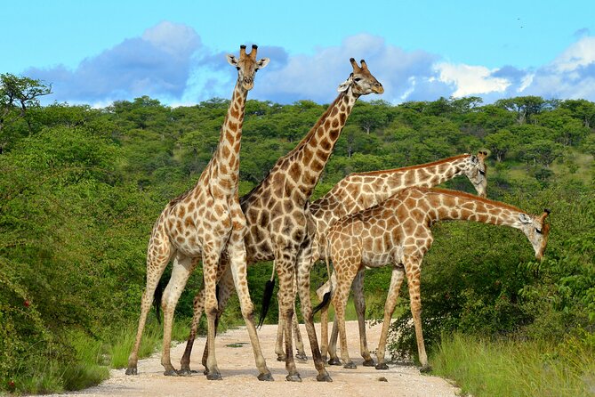 2 Day Budget Safari in Tarangire and Ngorongoro From Arusha - Itinerary Highlights