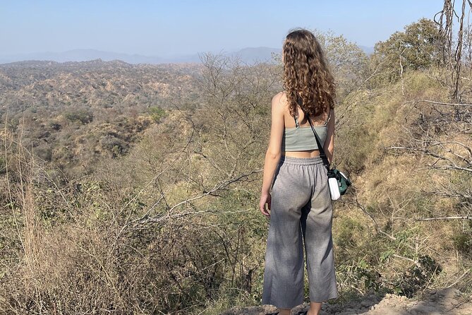 2 Day Chandigarh Architecture History Tour
