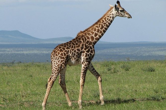 2 Day Lake Nakuru National Park Safari - Daily Departures - Itinerary Overview