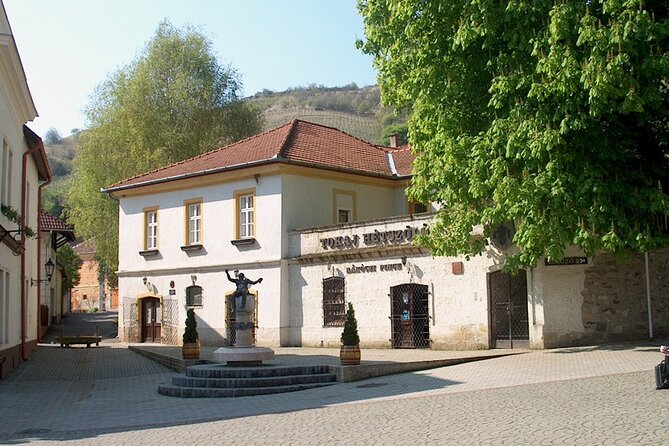 2 Day Luxury Wellness in Tokaj With Wine Tasting, Boat Trip, Food - Location and Transportation