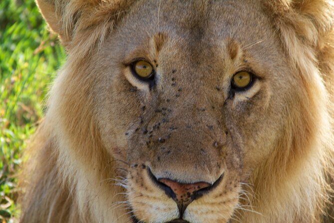 2-Day Private Guided Tour to Tarangire and Ngorongoro - Itinerary Details