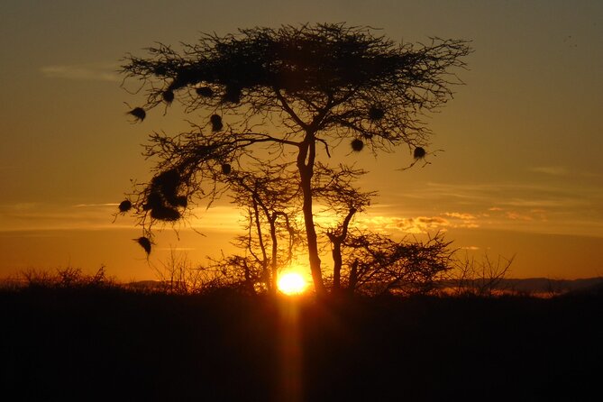 2-Day Private Tour in Tsavo East