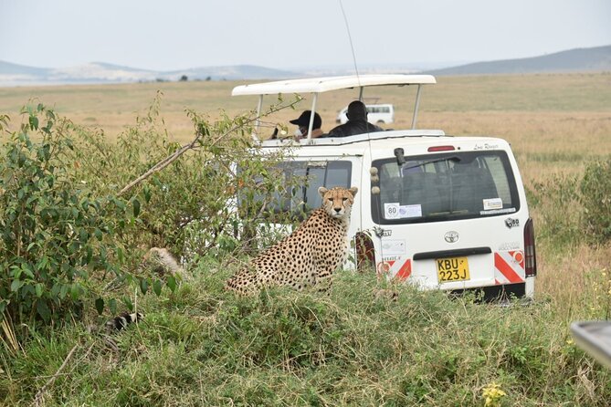 2-Day Private Tsavo East Safari With Pick up From Diani - Safari Inclusions