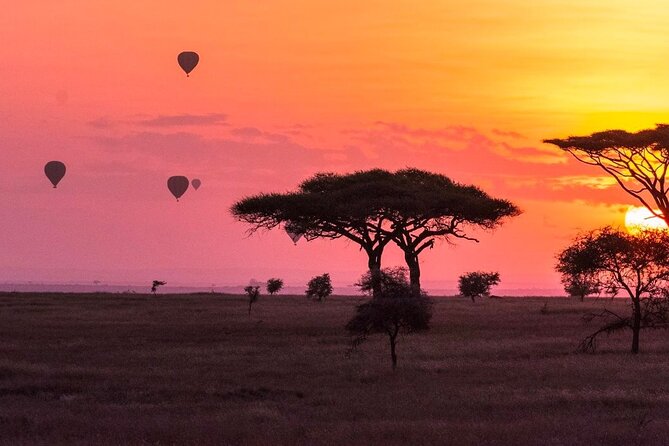2-Day Sublime Safari to Tarangire and Ngorongoro Safari
