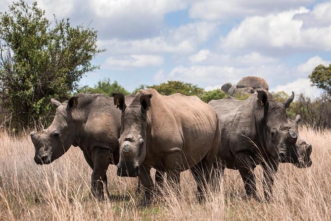 2-Day Tsavo East NP Joining Safari