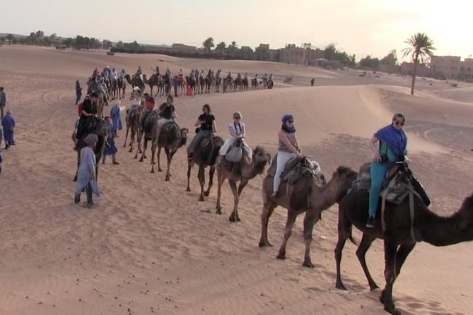 2 Days / 1 Night Excursion to Zagora From Marrakech - Luxury Bivouac - Itinerary Details