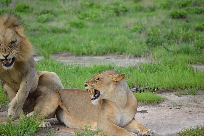 2 Days 1 Night Mikumi National Park From Dar Es Salaam - Pricing Details
