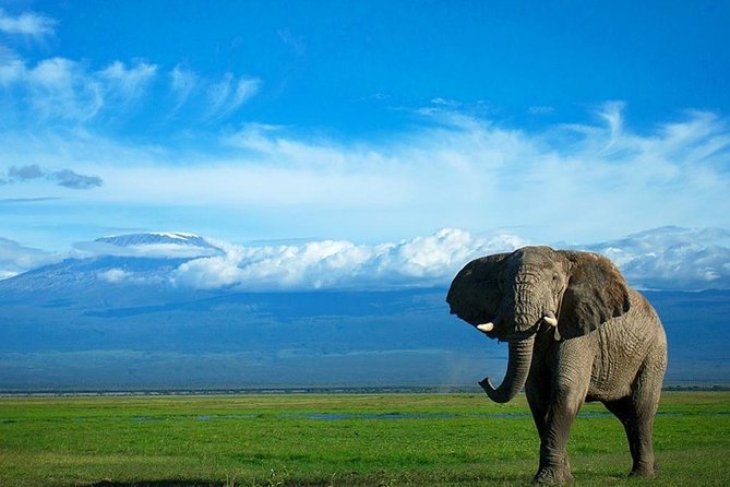 2-Days Amboseli National Park Safari Tour - Meal Inclusions