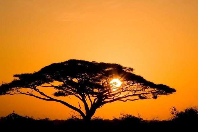 2 Days Amboseli Private Safari