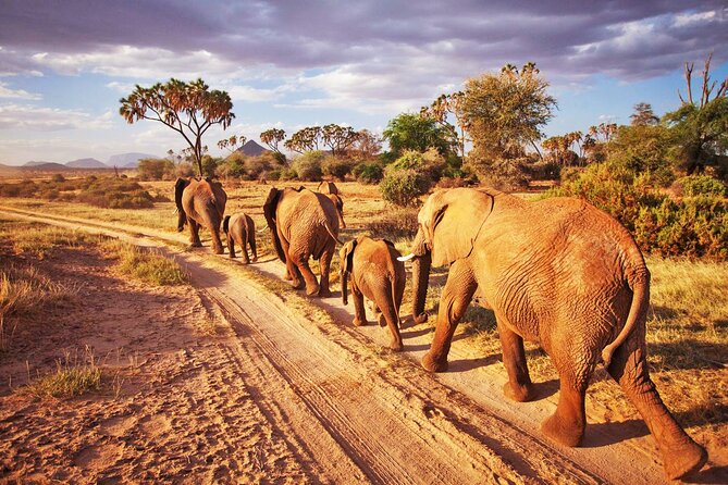 2 Days and 1 Night Private Tour in Tsavo East Safari - Itinerary Details