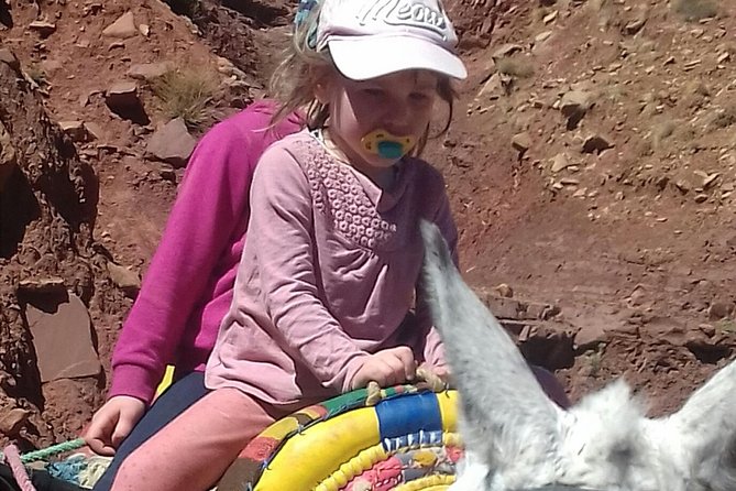 2 Days Discover Ighouliden Valley Azzaden Waterfalls - Tour Highlights