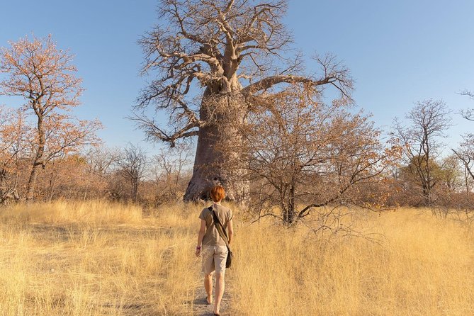 2 Days In Ruaha National Park. - Wildlife Encounters