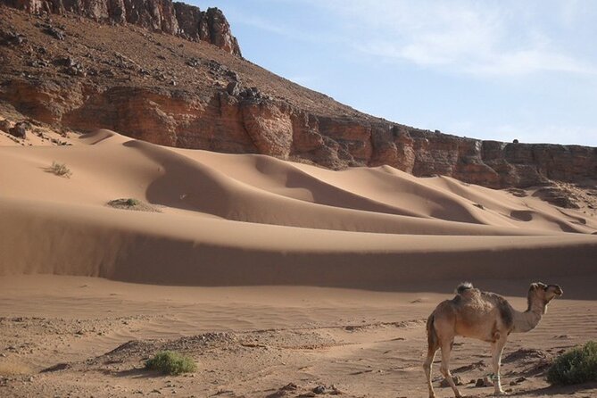 2 Days in the Desert From Marrakech - Tour Details
