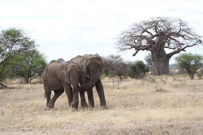 2 Days Lodge Safari – Lake Manyara and Ngorongoro Crater