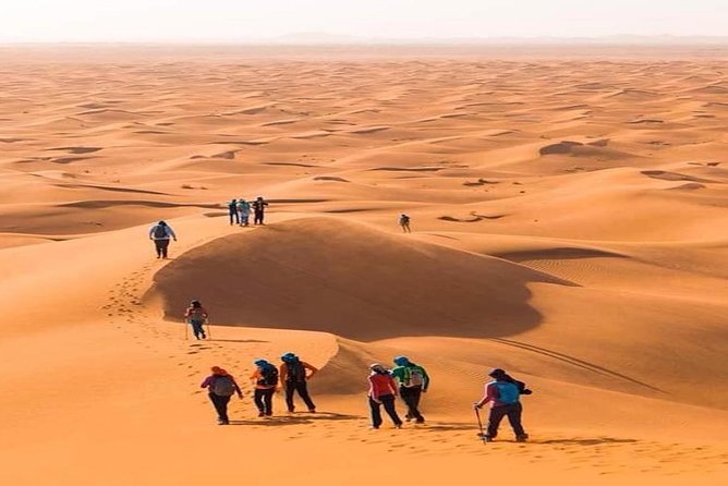2 Days Private Journey in Fez Desert With Camel Trek