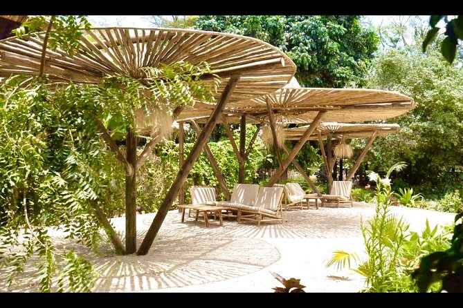 2-Days Private Midrange Safari From and to Zanzibar - Safari Itinerary