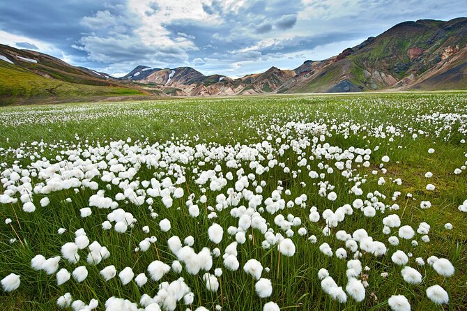 2 Days Private Super Jeep Tour to Landmannalaugar and Thorsmork - Inclusions