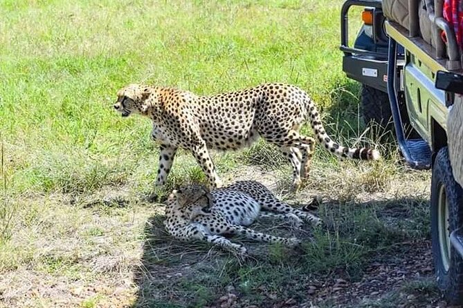 2 Days Safari of Masai Mara - Inclusions and Exclusions