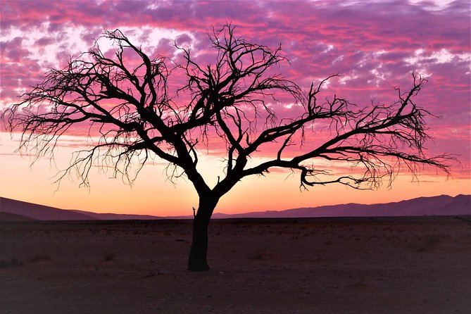 2 Days Sossusvlei Private Camping Tour - Included Activities