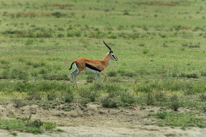 2 Days Taita Hills Game Sanctuary Saltlick Lodge - Pickup and Accessibility Information