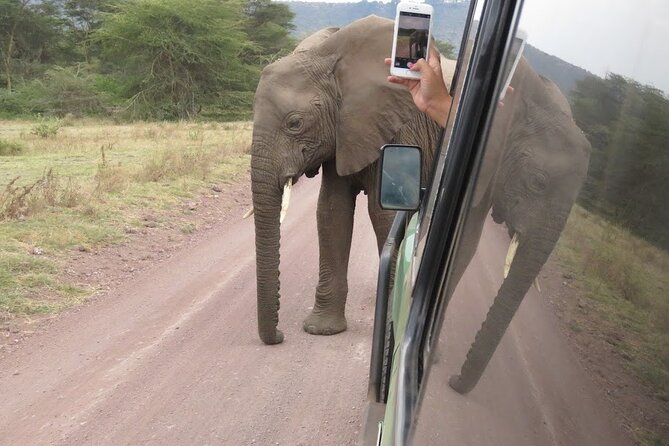 2 Days Tarangire and Ngorongoro Crater Tour