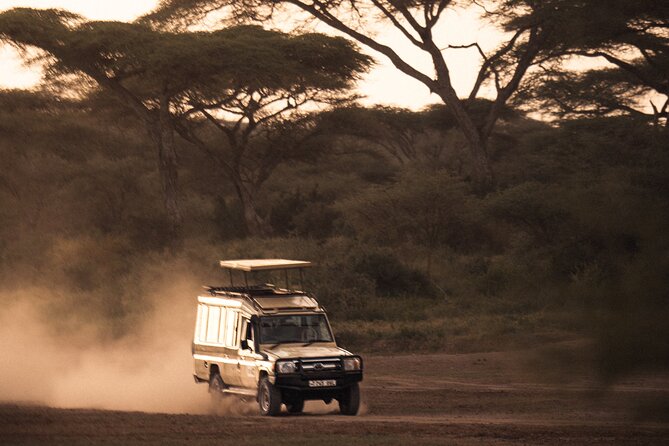 2 Days Tarangire and Ngorongoro Safari Tour in Tanzania - Itinerary Overview