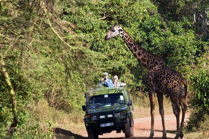 2 Days Tarangire & Ngorongoro Budget Mid-range Camping Safari Tour Tanzania - Accommodation Details