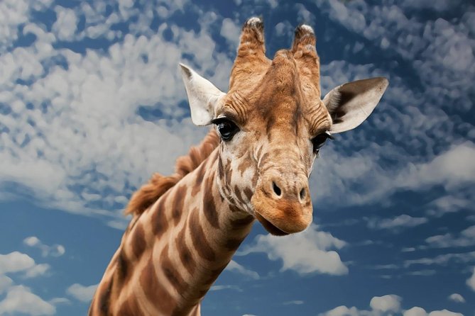 3 Best Safari Tours In Etosha National Park