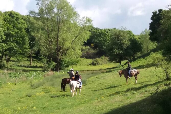 2-Hour Private Horse Riding With Views in Tuscany - Pickup and Meeting Details