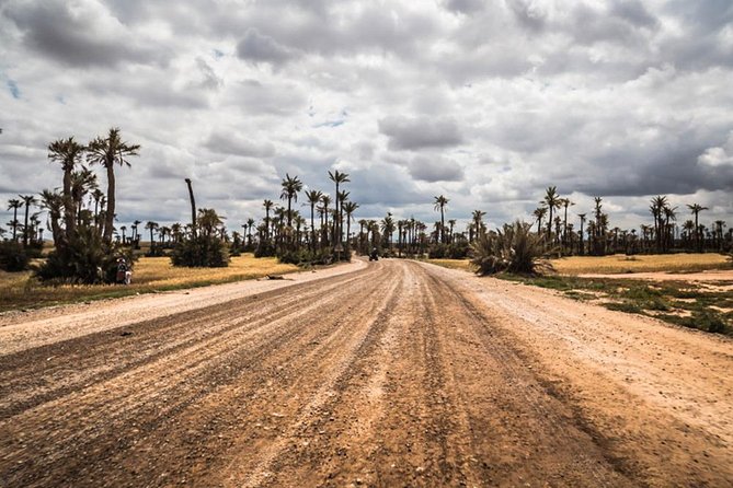 2 Hours Buggy in Palmeraie Marrakech - Location Details