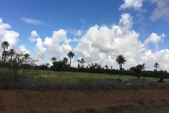 2 Hours QUAD BIKING in the Palm Oasis (Palmerie) MARRAKECH