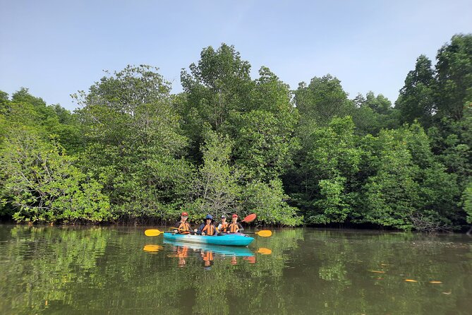 3-4 Hours Mangrove Kayaking Tour - Tour Highlights and Inclusions