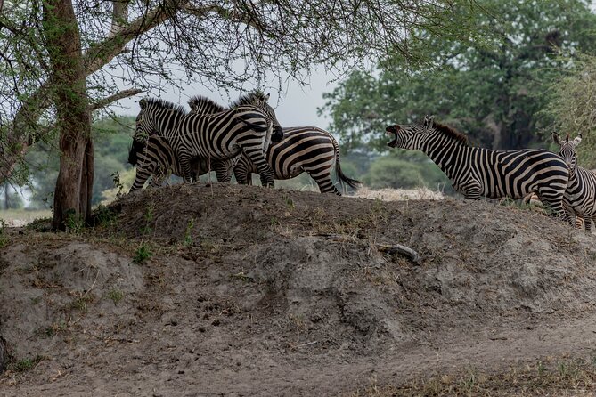 3-Day / 2 Nights Group Safari Serengeti & Ngorongoro Crater - Itinerary Overview