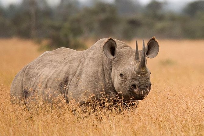 3-Day Budget Shared Group Tarangire, Crater, Manyara NP - Tour Highlights