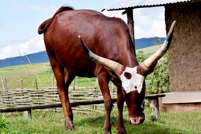 3 Day Burundi Tour- Multi-Day Burundi Sightseeing Tour With Karera Waterfalls