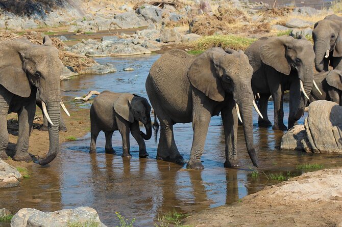 3-Day Camping Safari Tarangire, Lake Manyara & Ngorongoro Crater - Accommodation Details