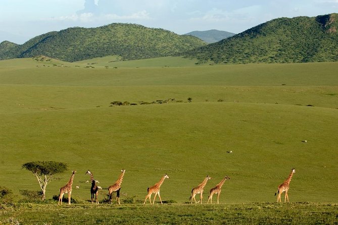 3-Day Maasai Mara Safari From Mombasa