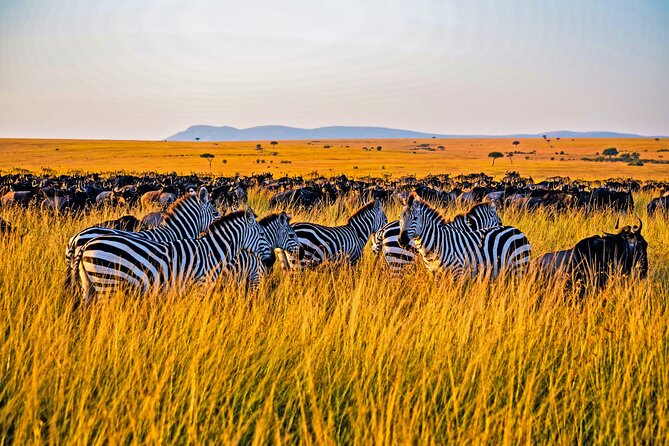 3-Day Masai Mara Safari From Nairobi - Tour Inclusions