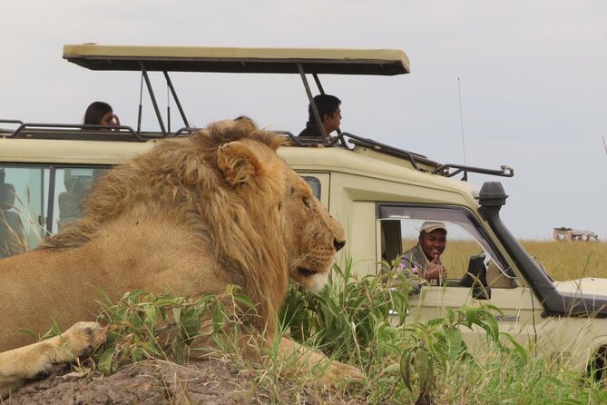 3-Day Private Masai Mara Safari - Safari Highlights