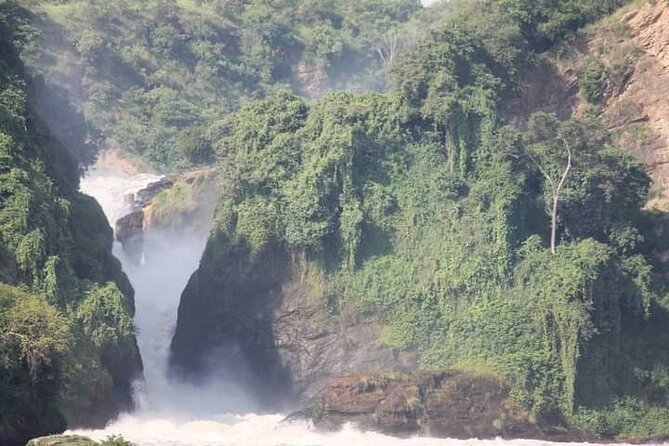 3-Day Private Safari of Murchison Falls National Park