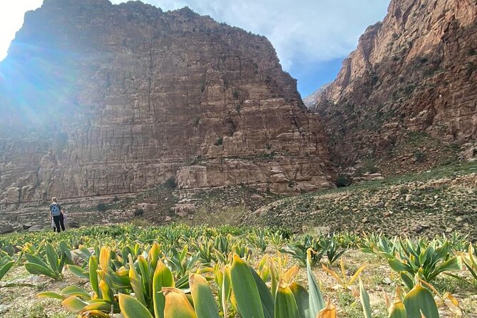 3-Day Private Tour Package to Jordan