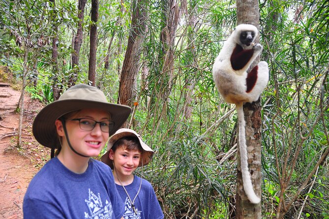 3-Day Private Tour to Andasibe National Park - Tour Itinerary