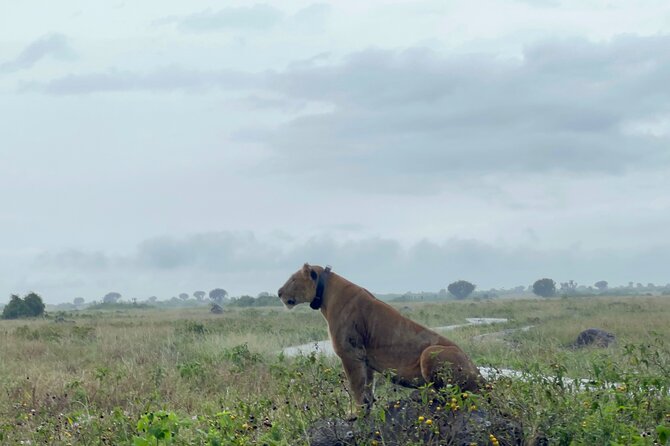 3 Day Queen Elizabeth National Park Budget Tour