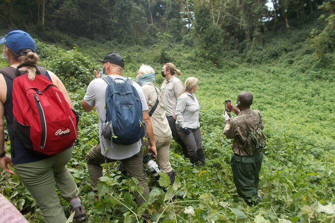 25 Best Safari Tours In Kigali