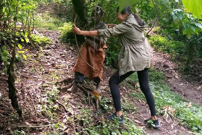 3 Day Safari With Gorilla Tracking in Bwindi NP